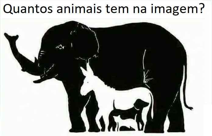 Quantos animais voce ve na imagem? - orkutudo.com