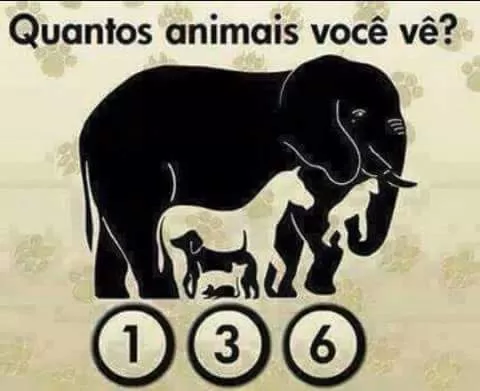 Quantos animais você vê na imagem?. E aí, quantos animais você consegue ver na imagem...?.
