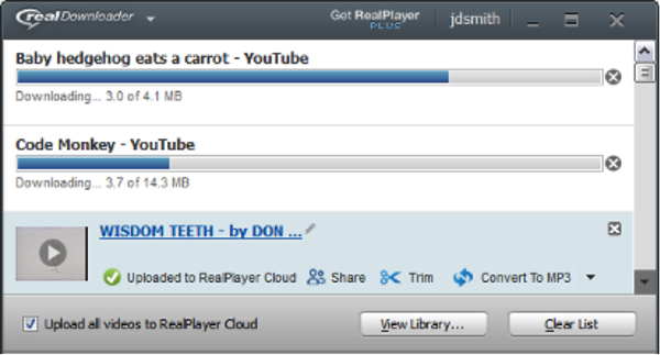 realplayer downloader for firefox free download