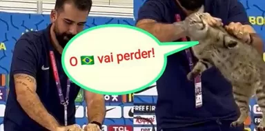 Gato: Vai perder! Brasil vs Croácia. Antes de ser arremessado da mesa o gato diz: 