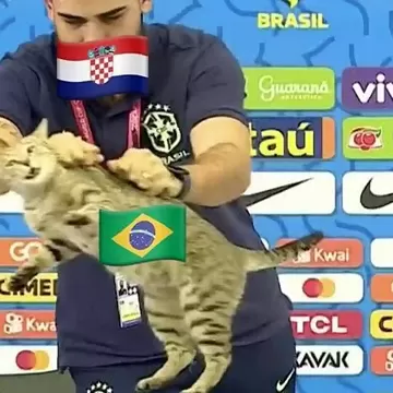 Brasil x Croácia: Gato. O gato da eliminação kkkkk.