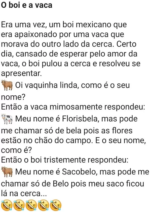 O boi e a vaca. Um boi que era apaixonado por uma vaca que morava do outro lado da cerca, resolveu se apresentar....