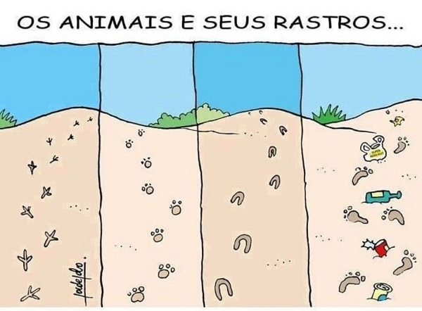 Os animais e seus rastros. Comparação das pegadas de animais e das pegadas humanas na natureza..