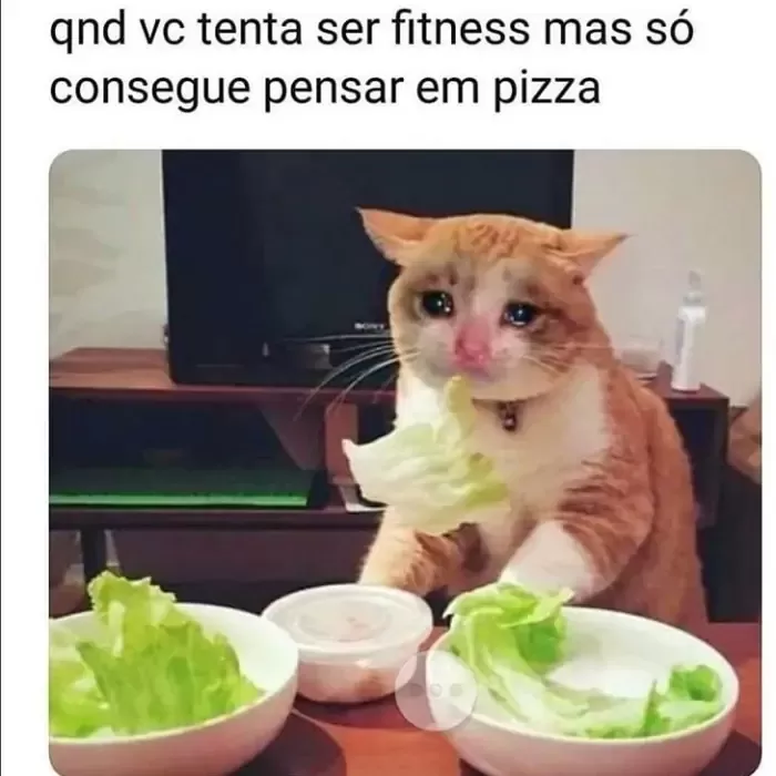 Quando você tenta ser fitness. Mas só pensa em pizza.