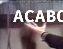 Grupos: Imagens de cheguei!. Imagens de 