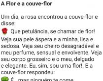A flor e a couve-flor. Uma flor e uma couve-flor estavam conversando sobre suas características físicas, quando a flor exclama para a couve-flor....