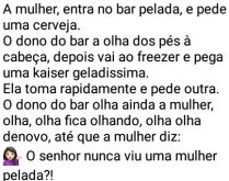 A mulher, entra no bar pelada.... E pede cerveja, e o dono esperto, quer saber de onde ela vai tirar o dinheiro....