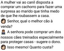 O cão treinado. Uma mulher vai ao canil disposta a comprar um cachorro para fazer uma surpresa ao marido....