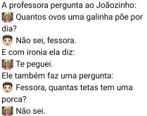 Te peguei!. Professora faz pergunta difícil para Joãozinho, mas menino devolve com outra, confira..