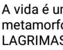 A vida é um constante metamor.... Lágrimas, vitórias, derrotas....