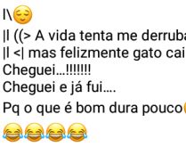 A vida tenta me derrubar.... Mas felizmente gato cai em pé... cheguei... kkkkkk.