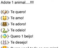 Brincadeira: Adote 1 animal. Nova brincadeira, qual desses animais você me daria?.