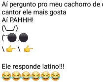 Aí pah: Latino. Aí eu pergunto pro meu cachorro de que cantor ele gosta....