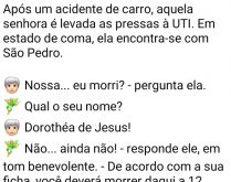 Após um acidente de carro. A mulher após sofrer um acidente de carro, entra em estado de coma e se encontra com São Pedro....