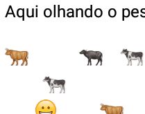 Aqui olhando o pessoal do grupo. Estou aqui olhando o pessoal do grupo.