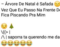 Árvore de natal. Acho que a árvore de natal está gamada em mim....