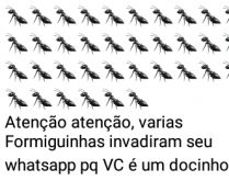 Várias formiguinhas invadiram.... Uma cantada bacana para mandar para a sua gatinha(o).