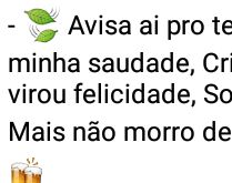 Avisa ai pro teu orgulho.... Avisa ai pro teu orgulho que a minha saudade, criou vergonha e virou felicidade....