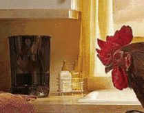 Imagens de bom dia para whatsapp. Imagens de bom dia, para enviar para seus amigos e grupos.