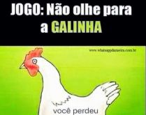 Desafio: Não olhe para a galinha. Se olhar já sabe... perde..