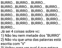 Burro, burro, burro.... Leia essa mensagem, mande pros amigos....