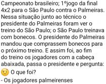 2 a 0 para os bonecos. Palmeirenses espionam treinamento do São Paulo e resolvem comprar bonecos para treinar também....