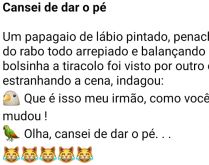Cansei de dar o pé. Um papagaio de lábio pintado, penacho do rabo todo arrepiado e balançando uma bolsinha....