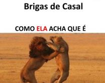 Homem e a mulher. O relacionamento na visão do homem e da mulher.