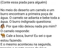 Cala a boca burro que eu sei o.... No meio do deserto, um camelo e um burro encontram uma poça de água....