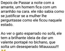Gato arranha marido e dá chup.... Marido passa a noite com a amante e diz que arranhão na cara foi feito pelo pobre gato....