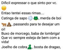 Dificil expressar o que sinto .... Então tentei essas rimas... catinga de sapo, merda de boi, passando pra te desejar um oi.