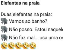 Elefantas na praia. Duas elefantas estavam na praia, quando uma pergunta para a outra....