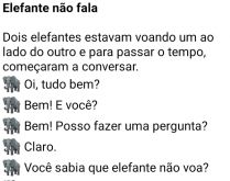 Elefante não fala. Dois elefantes, voando um ao lado do outro, quando começam a conversar....