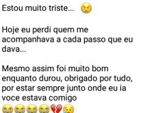 Perdi quem me acompanhava.... Em cada passo que eu dava... mas foi muito bom enquanto durou....