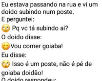 Comendo goiaba no poste. Eu estava passando na rua e vi um doido subindo num poste....