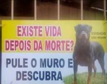 Existe vida após a morte?. Então pule o muro e descubra....
