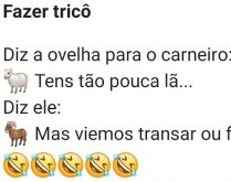 Fazer tricô. Uma ovelha e um carneiro estão conversando sobre quanto lã eles possuem....