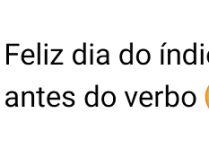 Feliz dia do índio pra você .... Feliz dia do índio pra você que escreve mim antes do verbo.