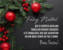 Feliz natal, que o espírito n.... Que o espírito natalino traga aos nossos corações a fé inabalável dos que acreditam em um novo tempo de paz e amor..