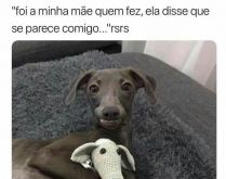 Foi a minha mãe quem fez, ela.... Foi a minha mãe quem fez e ela disse que se parece muito comigo...