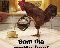 Bom dia gente boa!. Galo preparando um delicioso café e dando bom dia para você!.