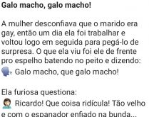 Galo macho, galo macho!. A mulher estava desconfida que o marido dela era homossexual e então resolveu chegar mais cedo do trabalho....