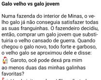 Galo velho vs galo jovem. O dono de uma fazenda de minas gerais resolve comprar um galo jovem, pois o único galo que tinha já estava muito velho e não dava mais conta das galinhas....