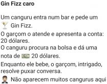 Gin Fizz caro. Um canguru entra num bar e pede um Gin Fizz....