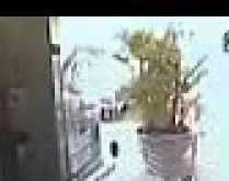 Homem corajoso não se intimid.... Nem com a arma na cabeça ele se intimidou, confira.