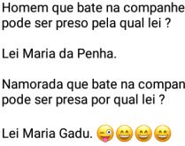 Lei Maria Gadu. Homem que bate na companheira pode ser preso pela lei....