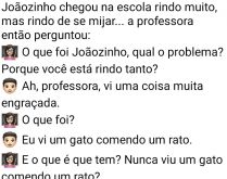 Joãozinho chegou na escola ri.... Joãozinho estava cagando de rir, quando a professora pergunta o motivo....
