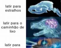 Comportamento dos cachorros. Que todo cachorro late, agente já sabe, mas tem alguns que parece que só sabem fazer isso....