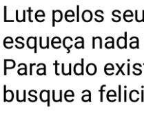 Lute pelos seus objetivos. Nunca esqueça, nada acontece por acaso..