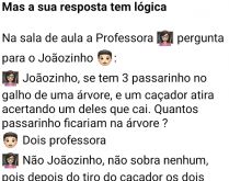 Mas a sua resposta tem lógica. Na sala de aula a professora pergunta para o joaozinho: se tem 3 passarinhos no galho....
